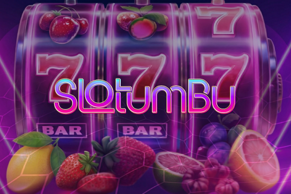 Slotumbugiris Kullanıcı Deneyimi: Hız, Stabilite, Arayüz, Güncel Link ve 2025 Performansı